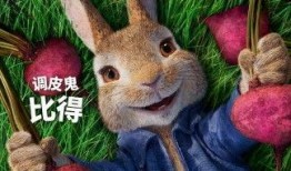 圈内人爆料桃浦兔王,揭秘网红背后的神秘故事